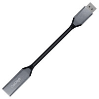 CalDigit DisplayPort 2.0 Male  Picture
