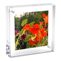 MCS Canvas Float 8 x 10 Frame 40002 - Adorama