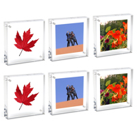 Canetti Original Magnet Frame, Picture