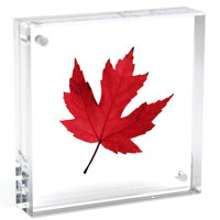 Canetti Original Magnet Frame, 2x2", Clear