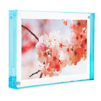 Canetti Color Edge Magnet Fram Picture