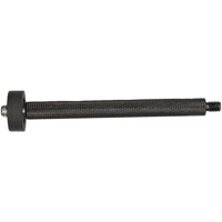 Cinegears Pegasus Stability Ar Picture