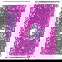 Cokin A672 Pink/Blue Center Sp Picture
