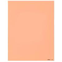 Cokin XP29 Orange Convertion/W Picture