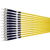 Camplex 1750' 12-Channel OM3 S Picture