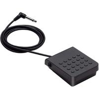 Casio SP-3 Sustain Pedal for A Picture