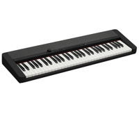 Casio Casiotone CT-S1 61-Key P Picture