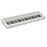 Casio Casiotone CT-S1 61-Key P Picture