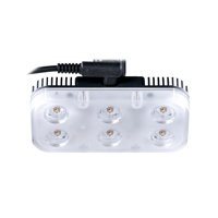 CZI FL60 Multi-Color Flashing  Picture