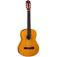 Dean Guitars Classical Acousti Picture