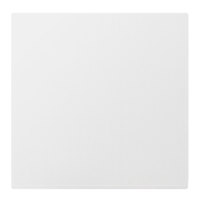 Definitive Technology Paintabl Picture