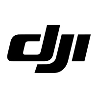 DJI Care Enterprise Basic Auto Picture