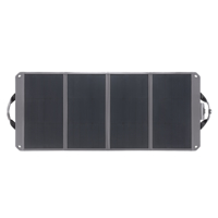 DJI Zignes 100W Solar Panel Picture
