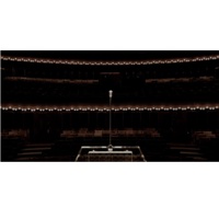 DPA Microphones d:dicate 4011F Picture