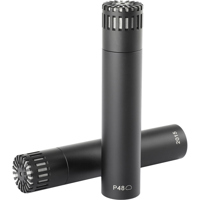 DPA Microphones 2015 Compact W Picture
