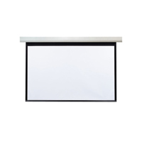 Draper 113" Acumen V Format El Picture