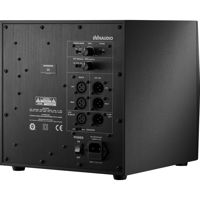 Dynaudio 9S True Bass 300W 9.5 Picture