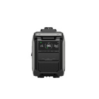EcoFlow 3000W Dual Fuel Smart  Picture