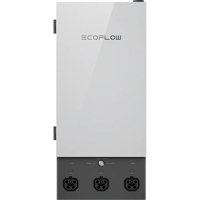 EcoFlow Smart Home Panel 2 wit Picture