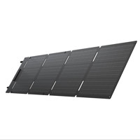 EcoFlow 60W Portable Solar Pan Picture