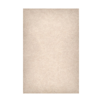 Easiframe 8.2x12.5' Cyclorama  Picture