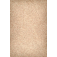 Easiframe 8.2x12.5' Cyclorama  Picture