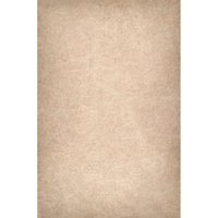 Easiframe 8.2x12.5' Cyclorama  Picture