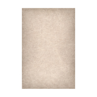 Easiframe 8.2x12.5' Cyclorama  Picture