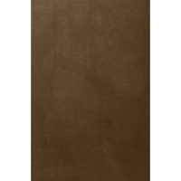 Easiframe 8.2x12.5' Cyclorama  Picture