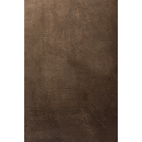 Easiframe 8.2x12.5' Cyclorama  Picture