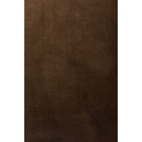 Easiframe 8.2x12.5' Cyclorama  Picture