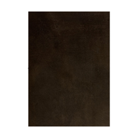 Easiframe 8.2x12.5' Cyclorama  Picture