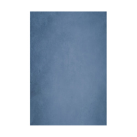Easiframe 8.2x12.5' Cyclorama  Picture