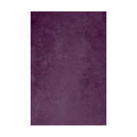 Easiframe 8.2x12.5' Cyclorama  Picture