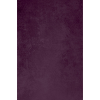 Easiframe 8.2x12.5' Cyclorama  Picture