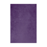 Easiframe 8.2x12.5' Cyclorama  Picture