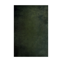 Easiframe 8.2x12.5' Cyclorama  Picture