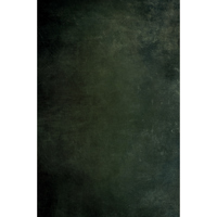 Easiframe 8.2x12.5' Cyclorama  Picture