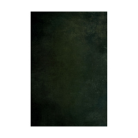 Easiframe 8.2x12.5' Cyclorama  Picture