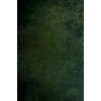 Easiframe 8.2x12.5' Cyclorama  Picture