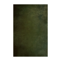 Easiframe 8.2x12.5' Cyclorama  Picture
