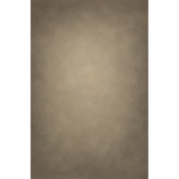 Easiframe 8.2x12.5' Cyclorama  Picture