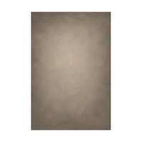 Easiframe 8.2x12.5' Cyclorama  Picture