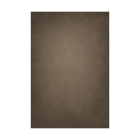 Easiframe 8.2x12.5' Cyclorama  Picture