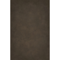 Easiframe 8.2x12.5' Cyclorama  Picture