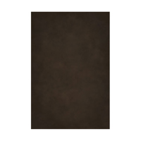 Easiframe 8.2x12.5' Cyclorama  Picture