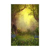 Easiframe 8.2x12.5' Cyclorama  Picture