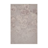 Easiframe 8.2x12.5' Cyclorama  Picture