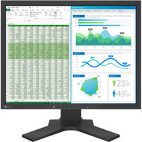 Eizo FlexScan S2134 21.3" 4:3  Picture