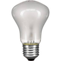 Elinchrom 100 watt, 90 volt Ha Picture